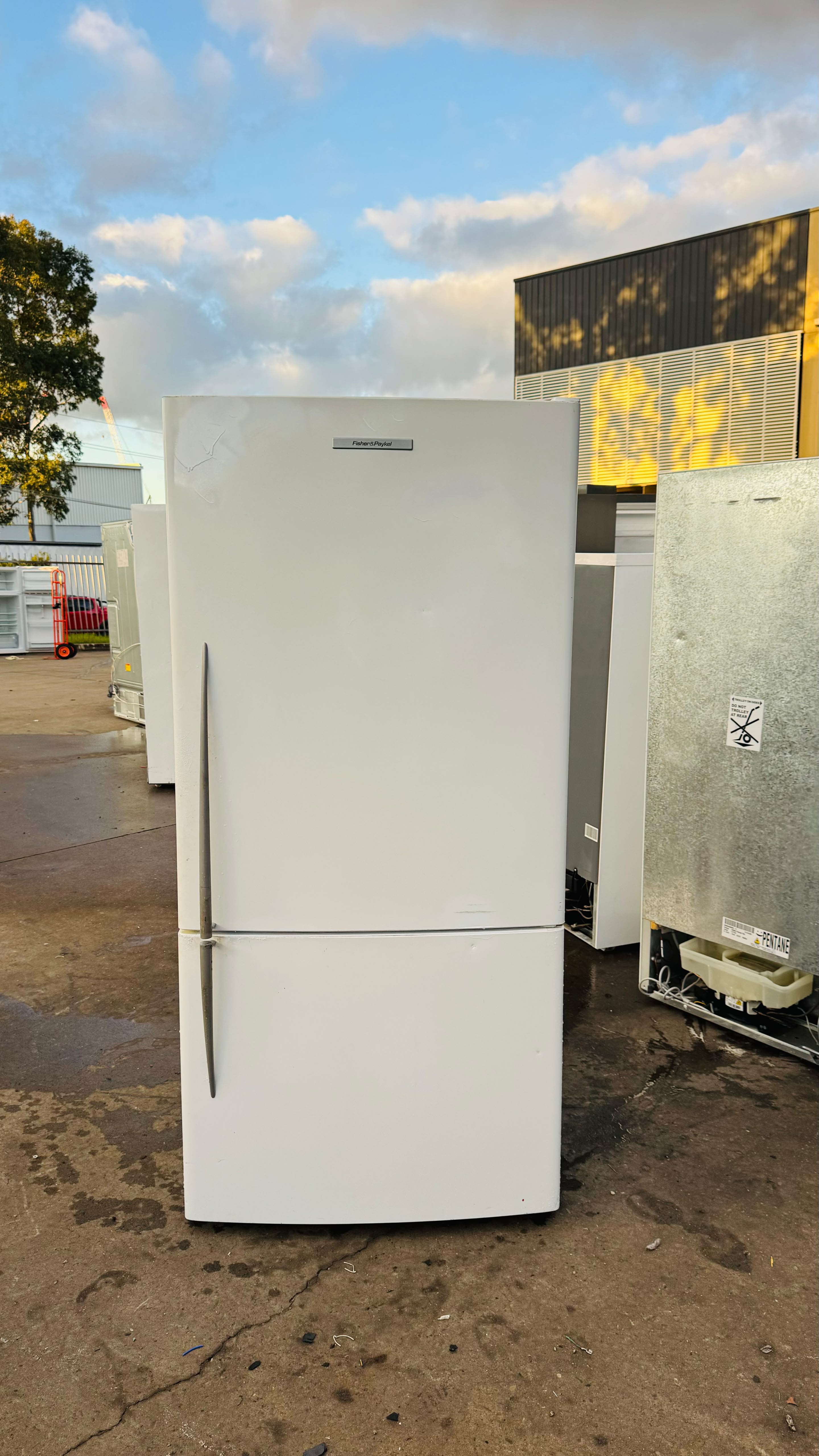 FISHER AND PAYKEL 519 LITRES FRIDGE FREEZER