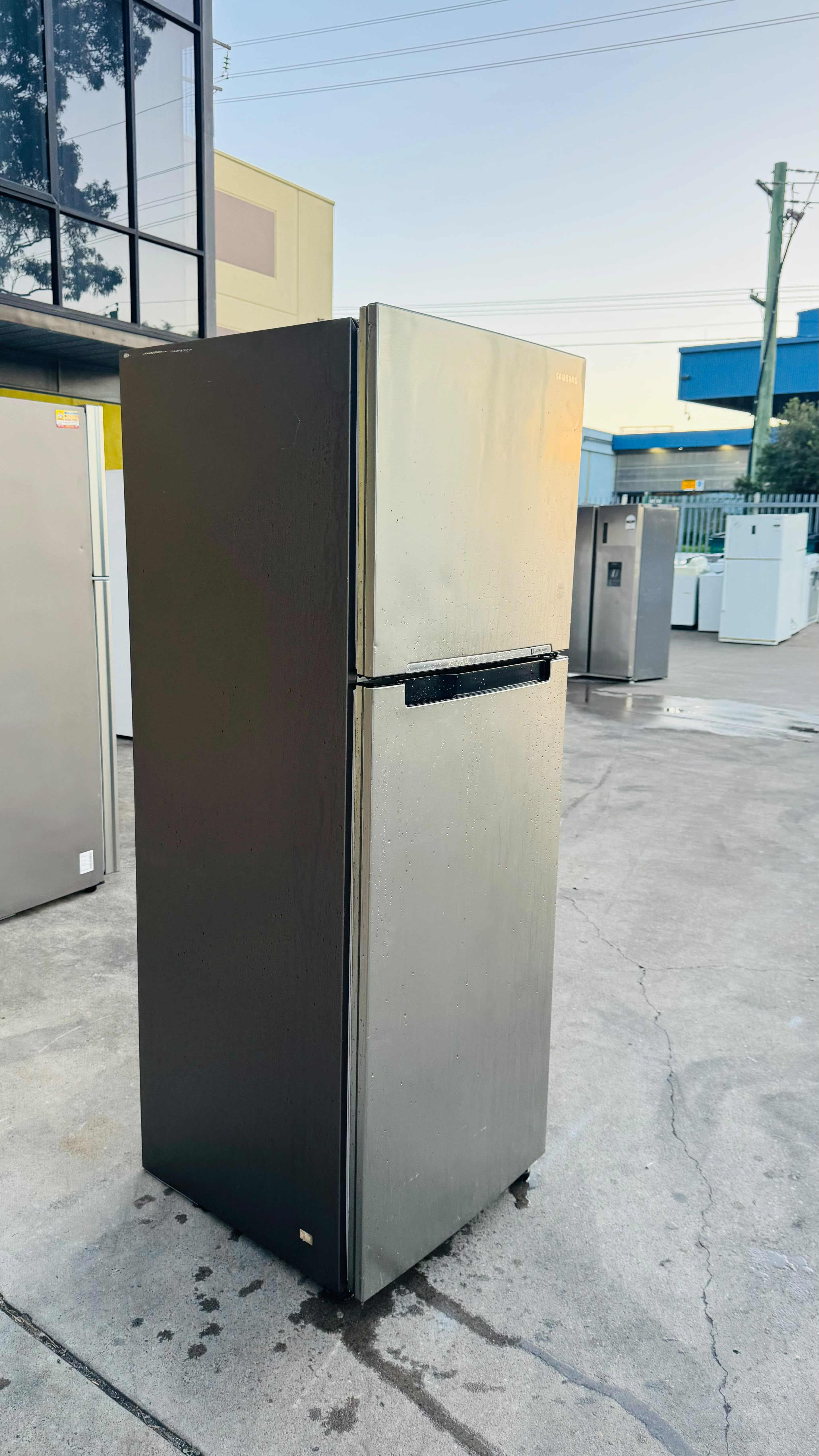SAMSUNG 343 LITRES FRIDGE FREEZER