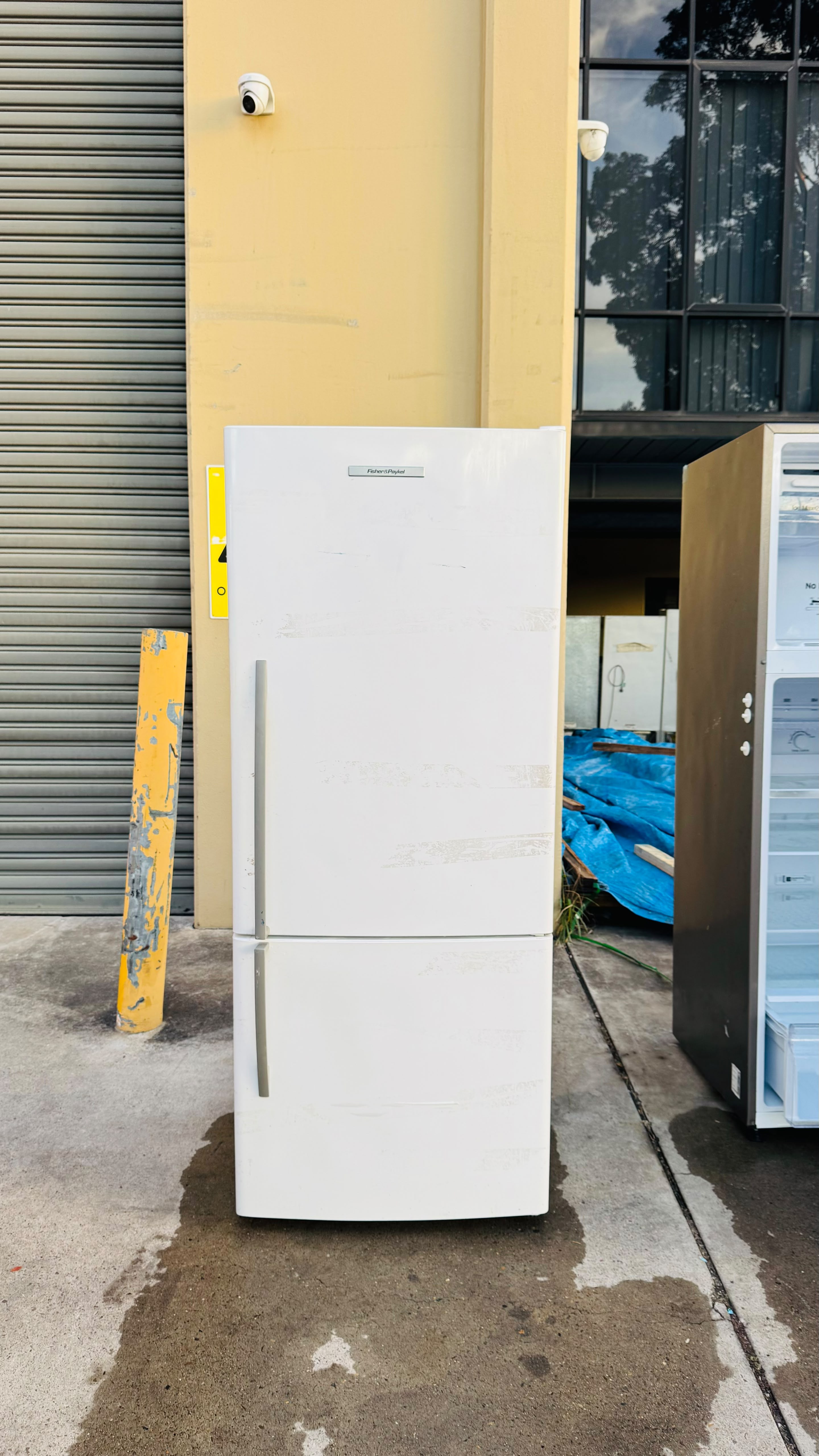 FISHER AND PAYKEL 442 LITRES FRIDGE FREEZER
