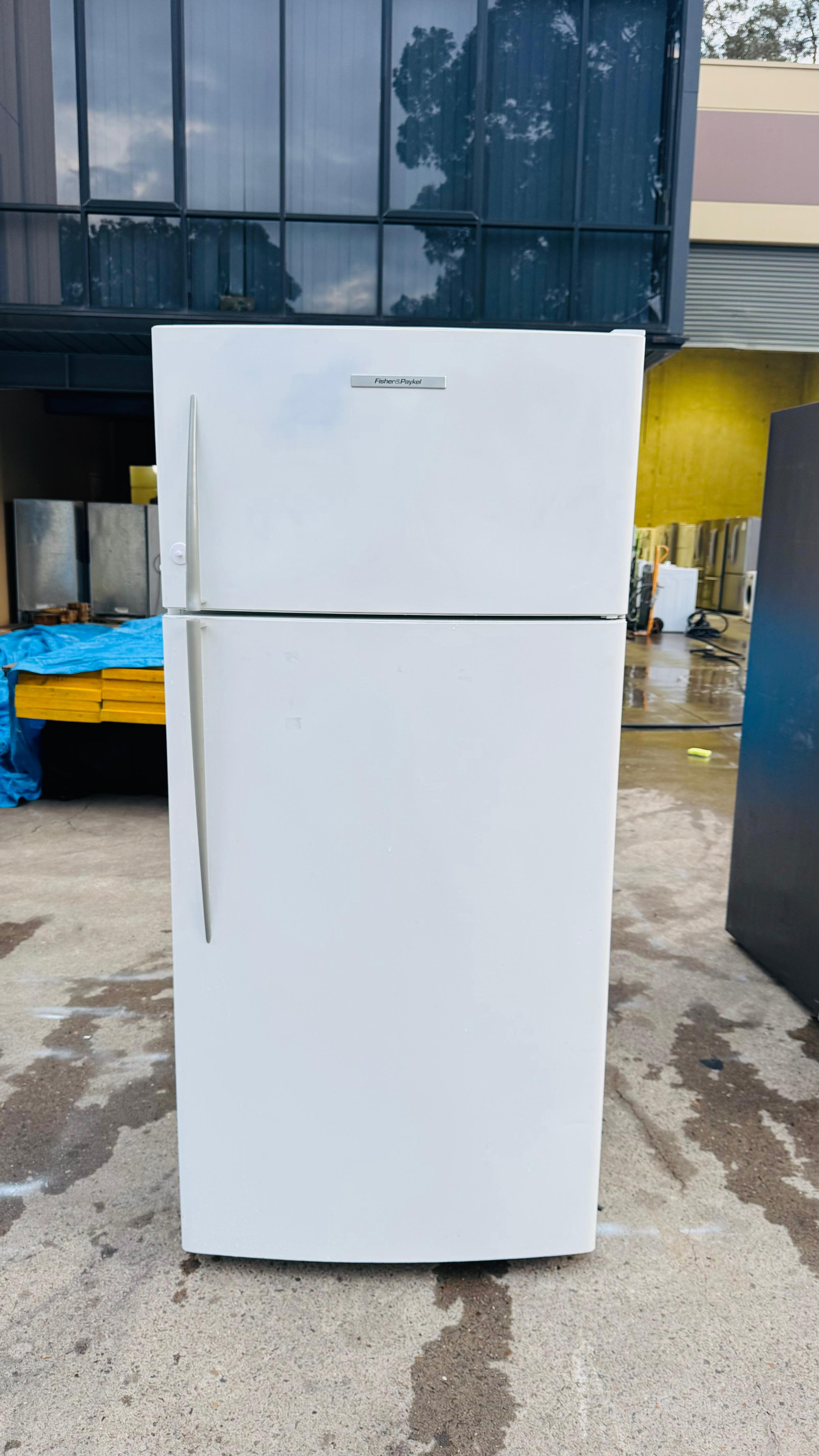 FISHER AND PAYKEL 519 LITRES FRIDGE FREEZER