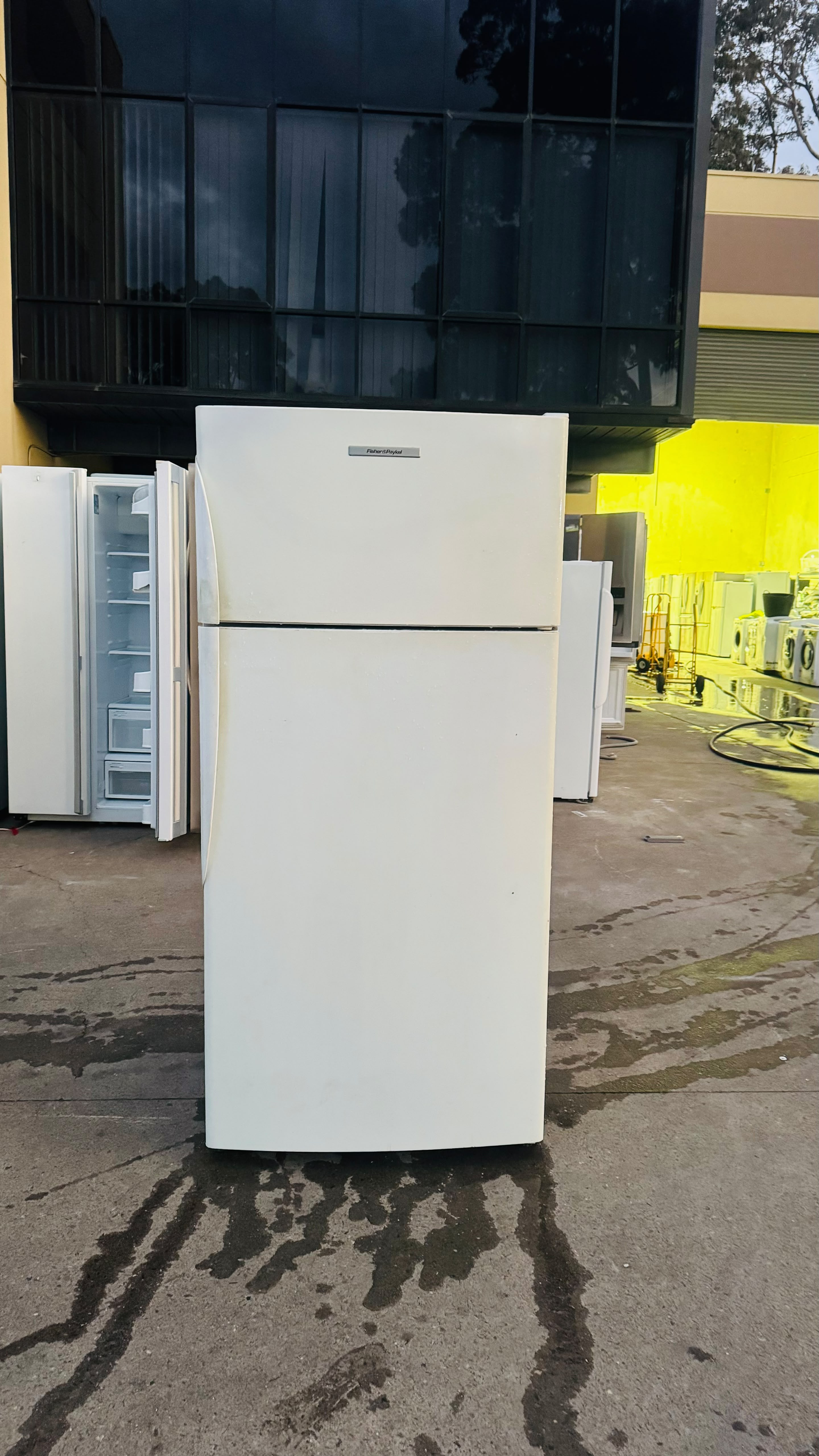FISHER AND PAYKEL 519 LITRES FRIDGE FREEZER