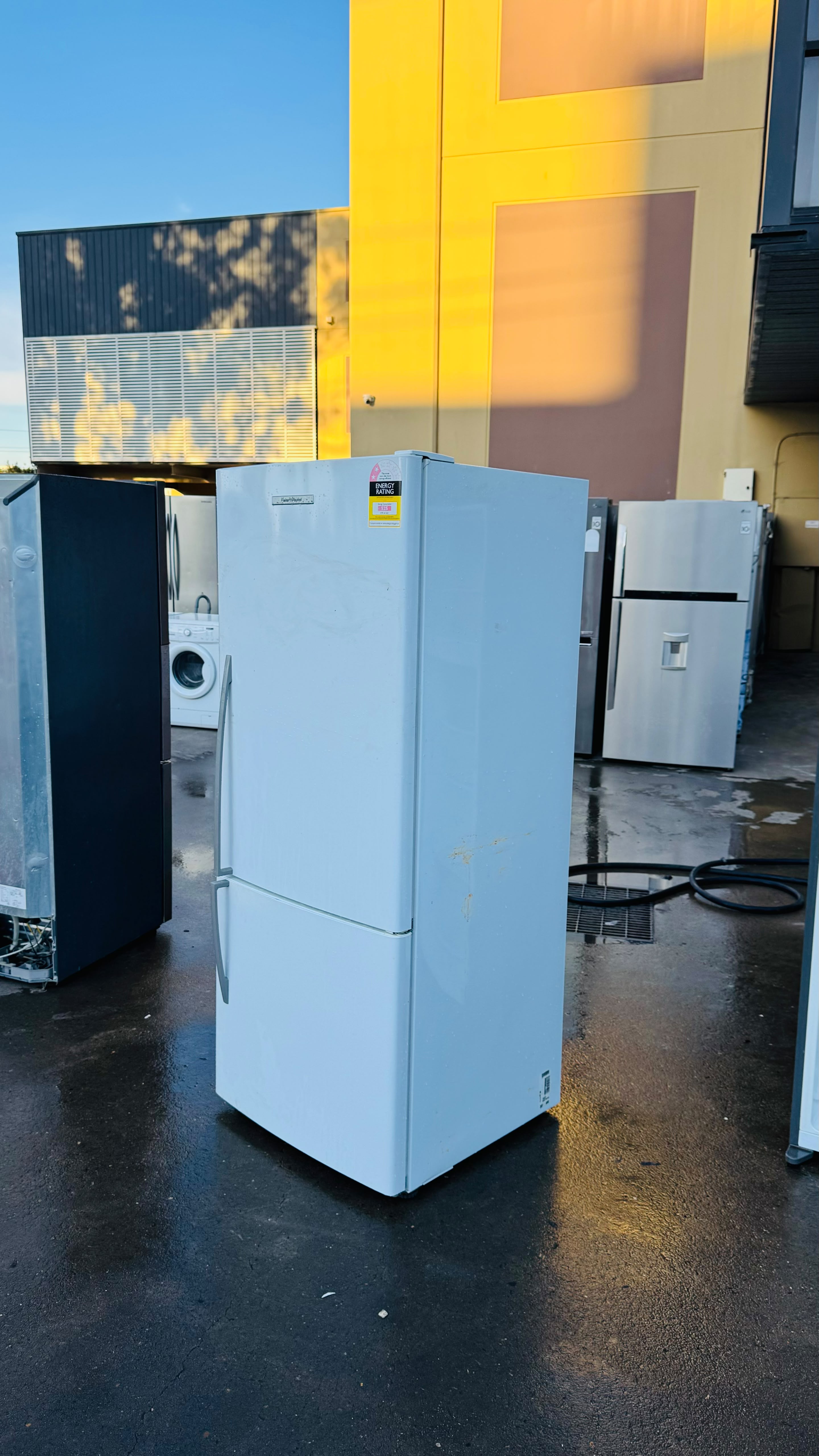 FISHER AND PAYKEL 442 LITRES FRIDGE FREEZER