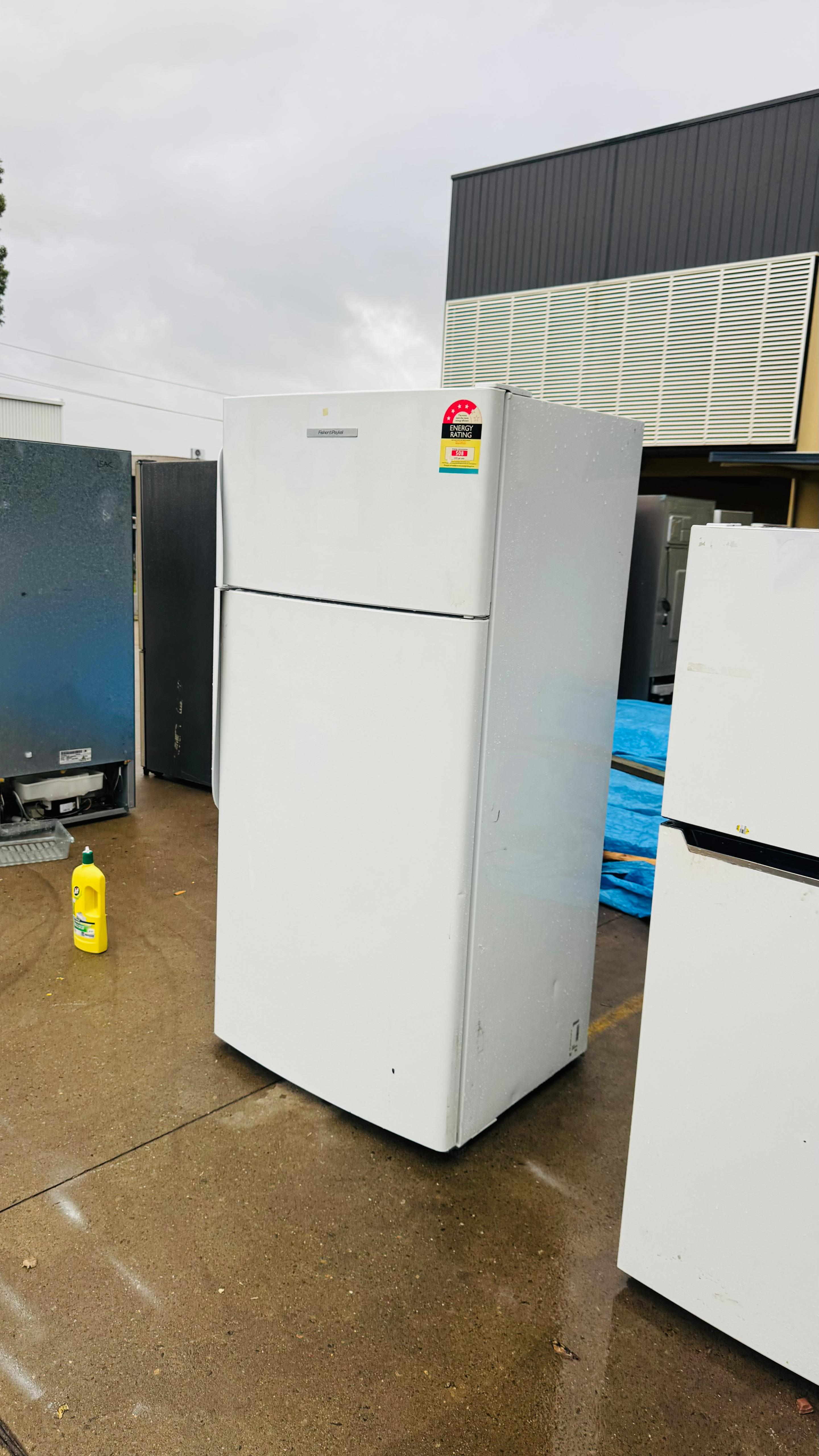 FISHER AND PAYKEL 519 LITRES FRIDGE FREEZER