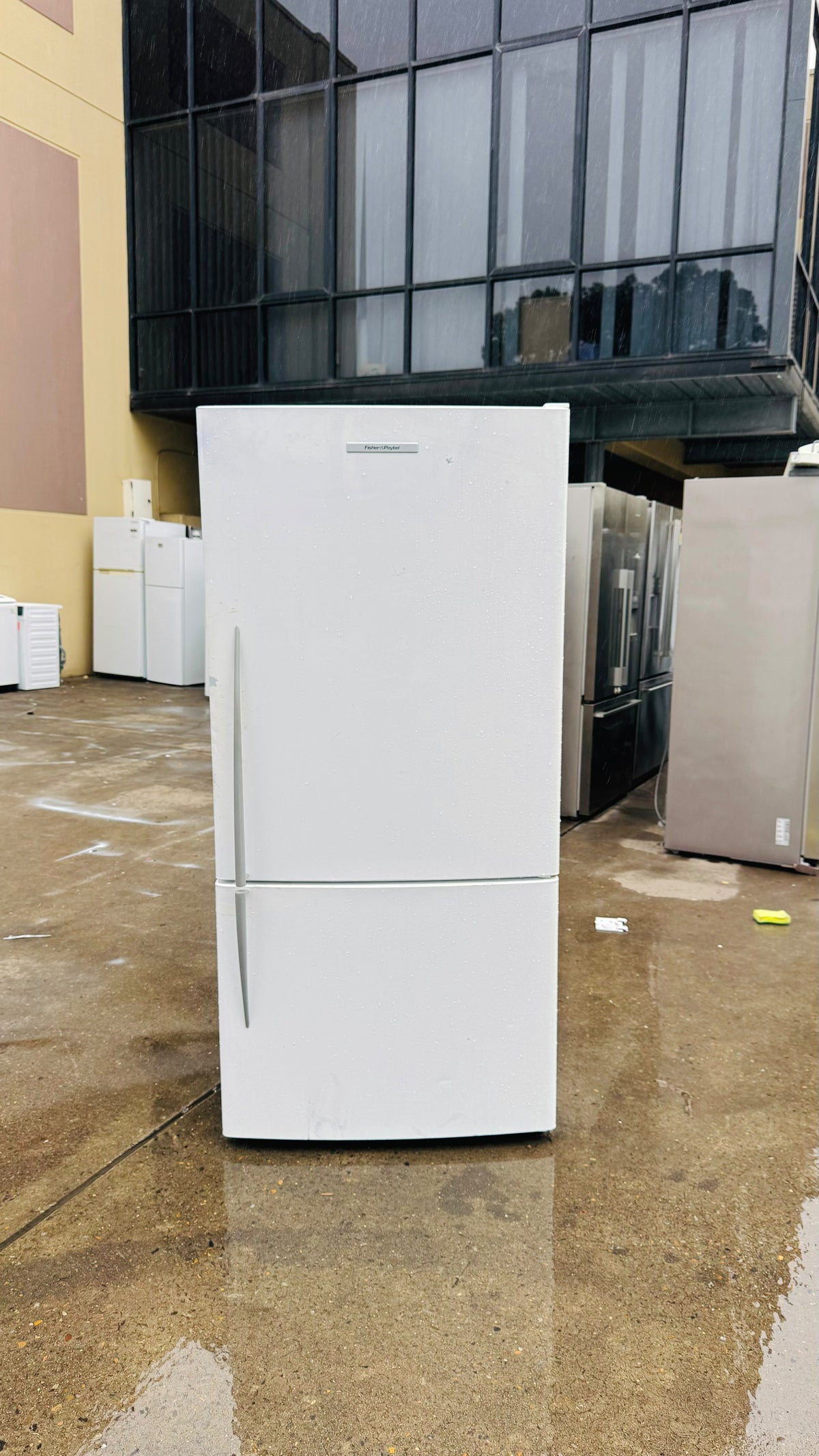 FISHER AND PAYKEL 519 LITRES FRIDGE FREEZER