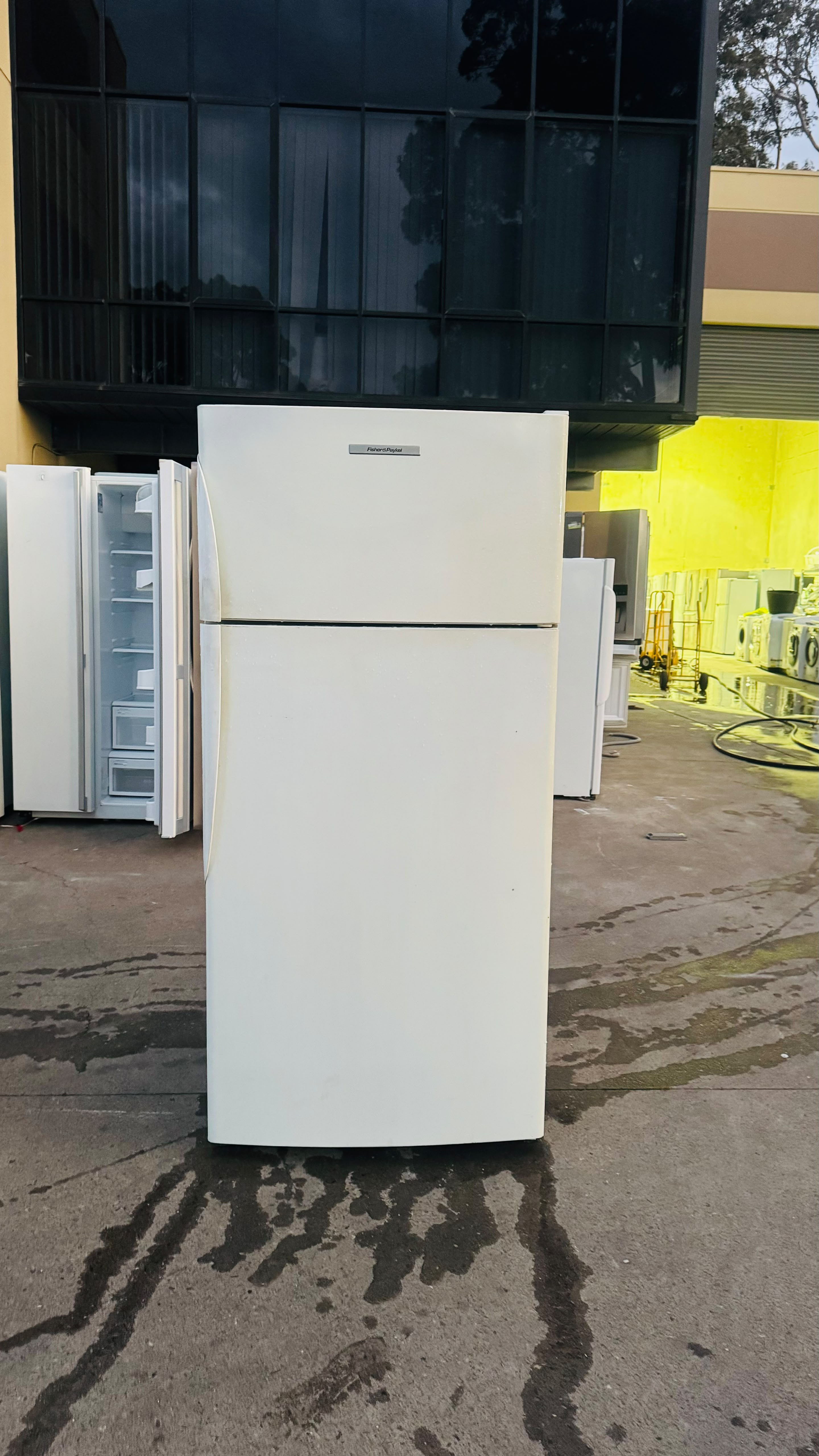 FISHER AND PAYKEL 519 LITRES FRIDGE FREEZER