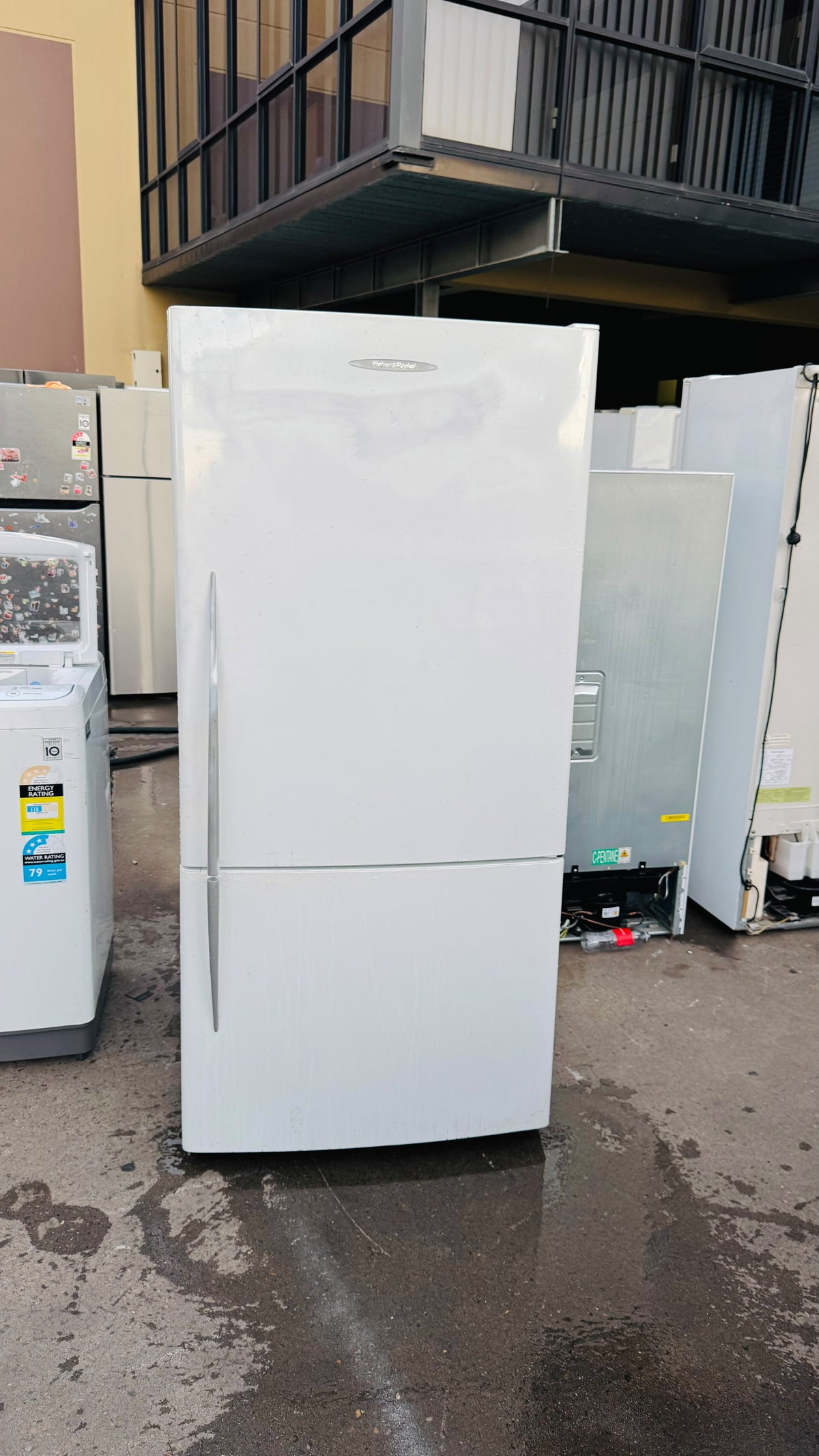 FISHER AND PAYKEL 519 LITRES FRIDGE FREEZER