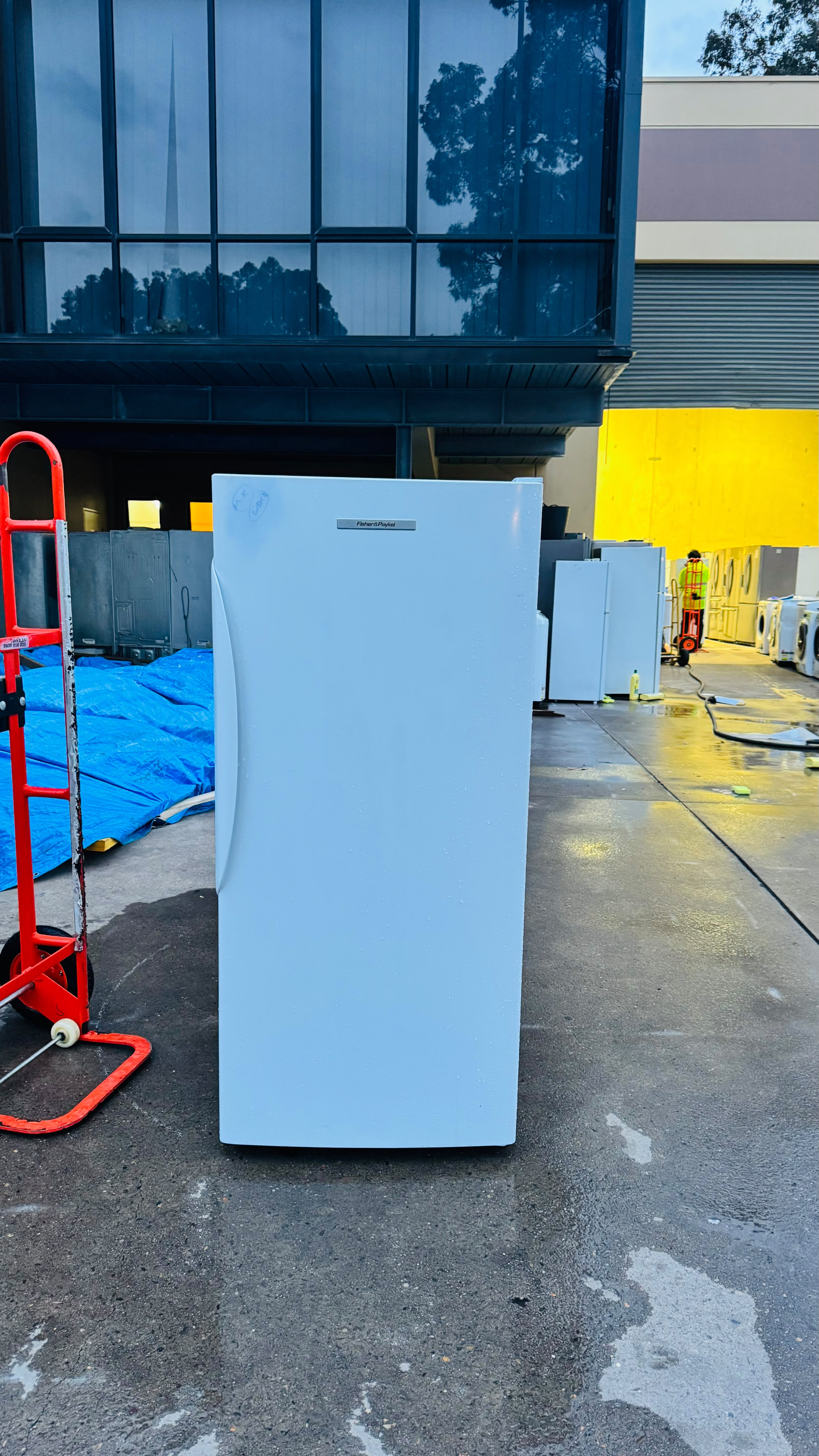 FISHER AND PAYKEL 304 LITRES FREEZER ONLY