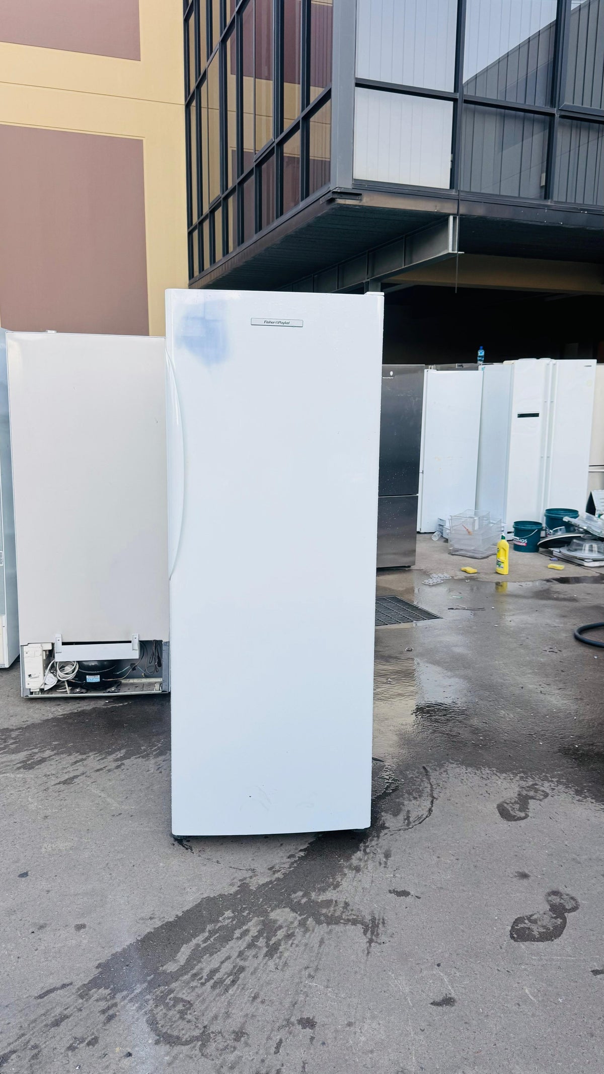 FISHER & PAYKEL 451 LITRES FRIDGE ONLY