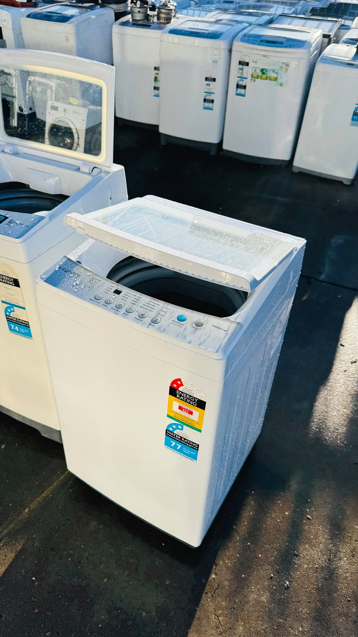 YOKOHOMA 5.5KGS TOP LOADER WASHING MACHINE