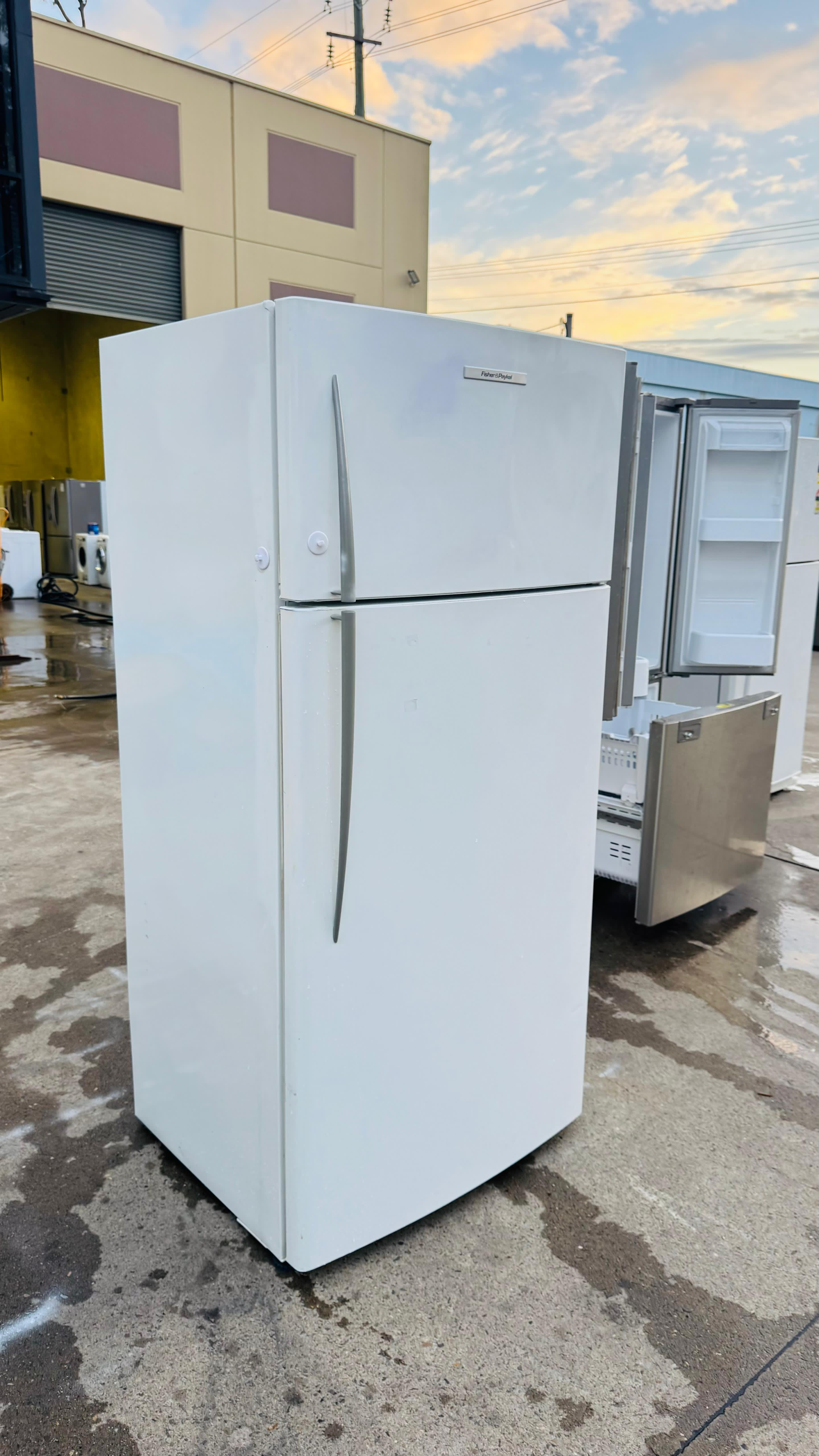 FISHER AND PAYKEL 519 LITRES FRIDGE FREEZER
