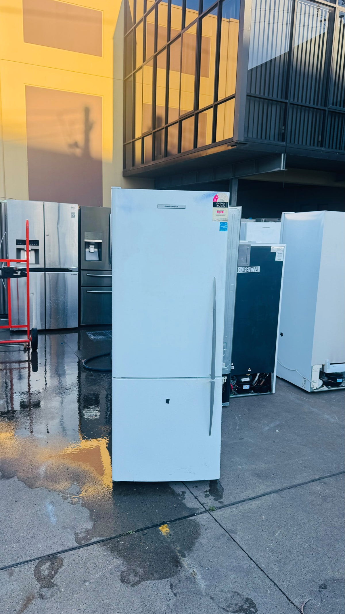 FISHER AND PAYKEL 404 LITRES FRIDGE FREEZER