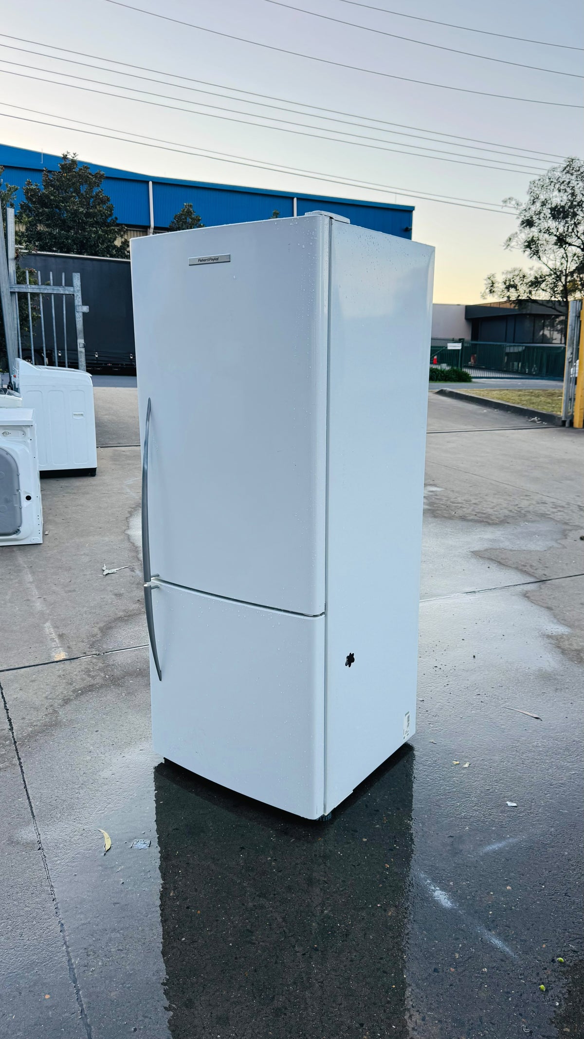 FISHER AND PAYKEL 442 LITRES FRIDGE FREEZER