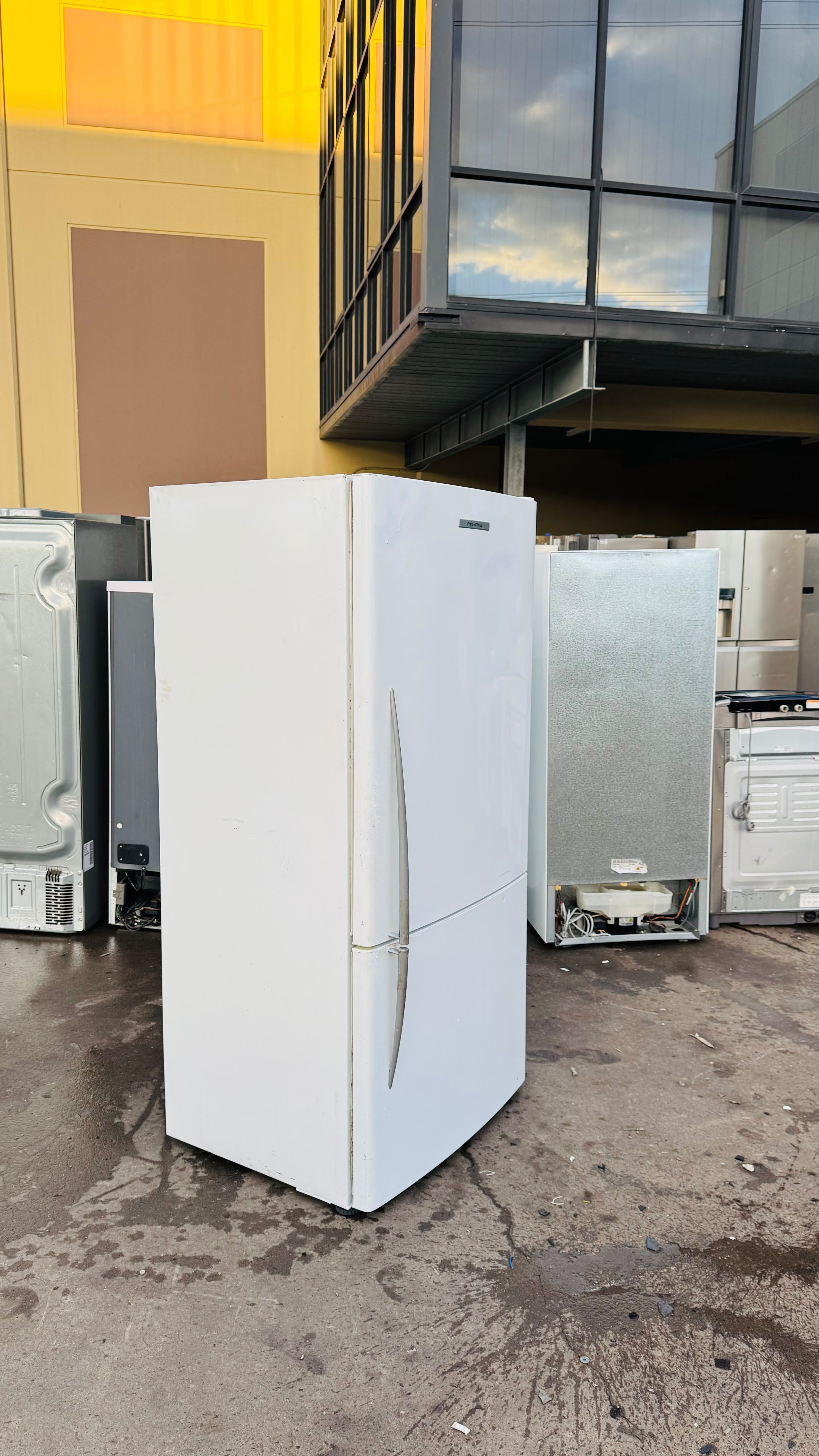 FISHER AND PAYKEL 519 LITRES FRIDGE FREEZER