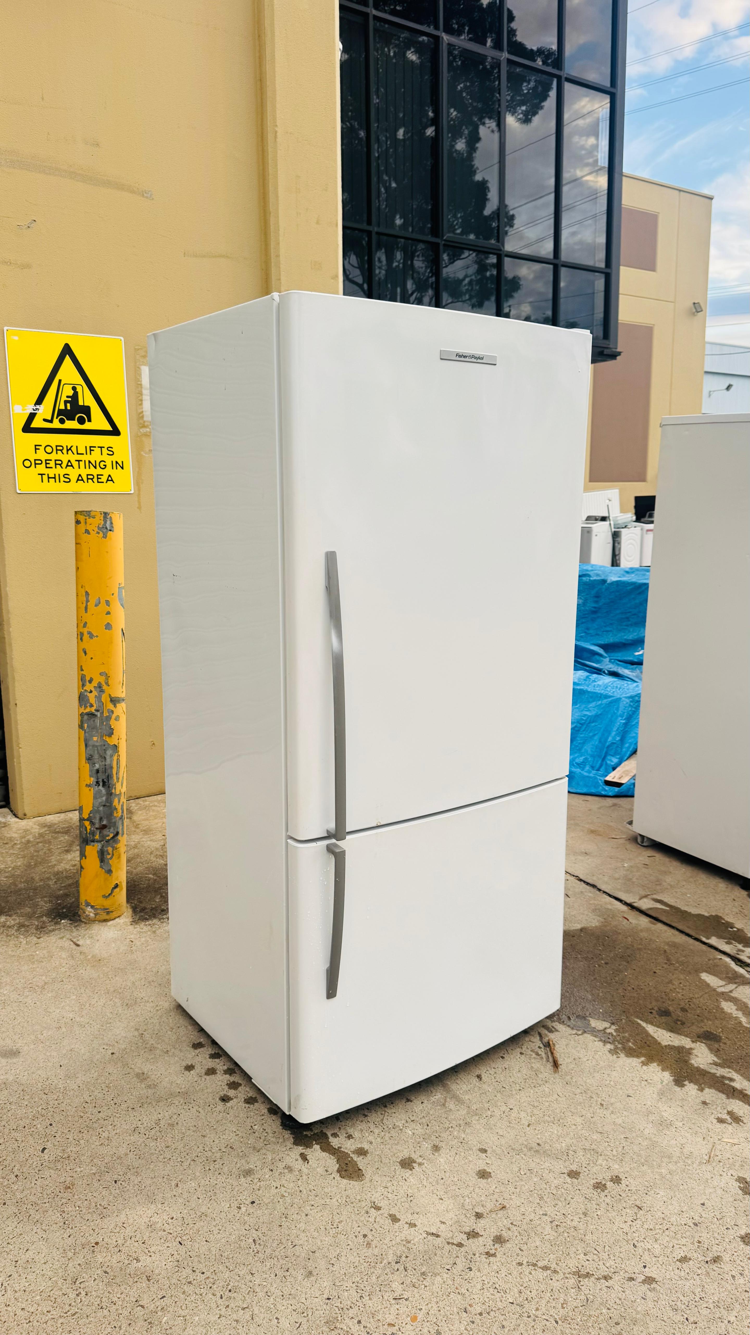 FISHER AND PAYKEL 519 LITRES FRIDGE FREEZER