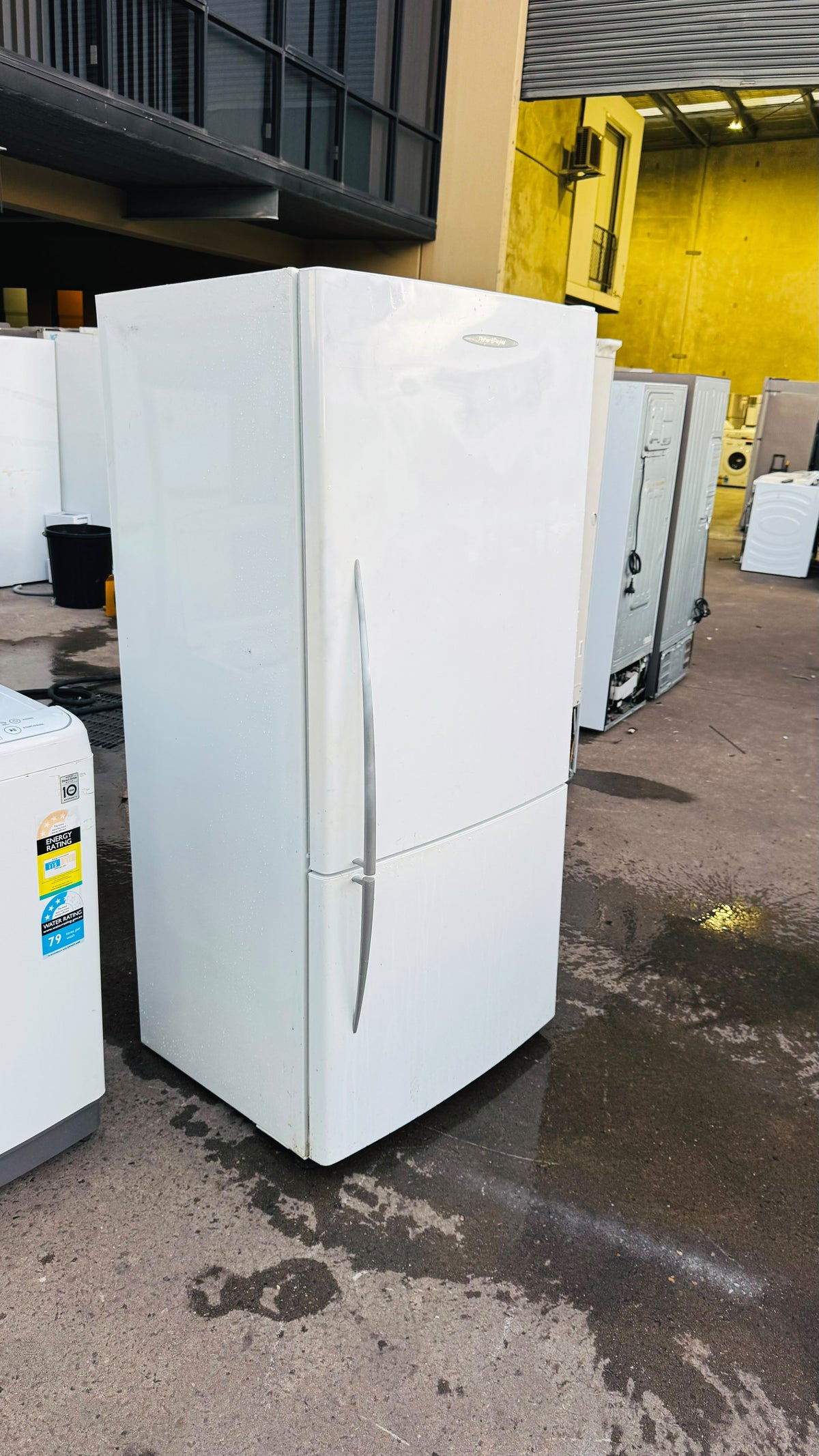 FISHER AND PAYKEL 519 LITRES FRIDGE FREEZER