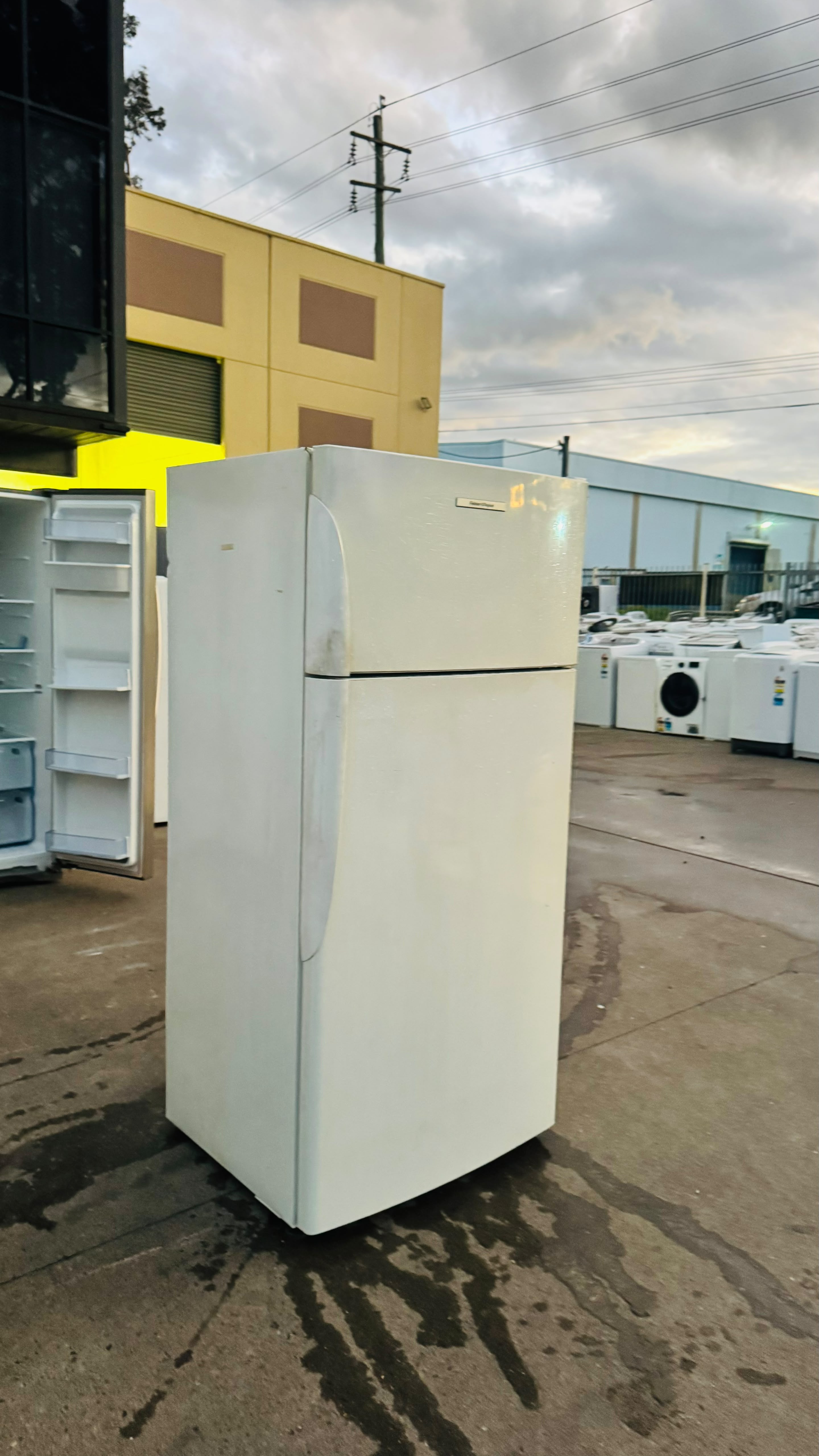 FISHER AND PAYKEL 519 LITRES FRIDGE FREEZER