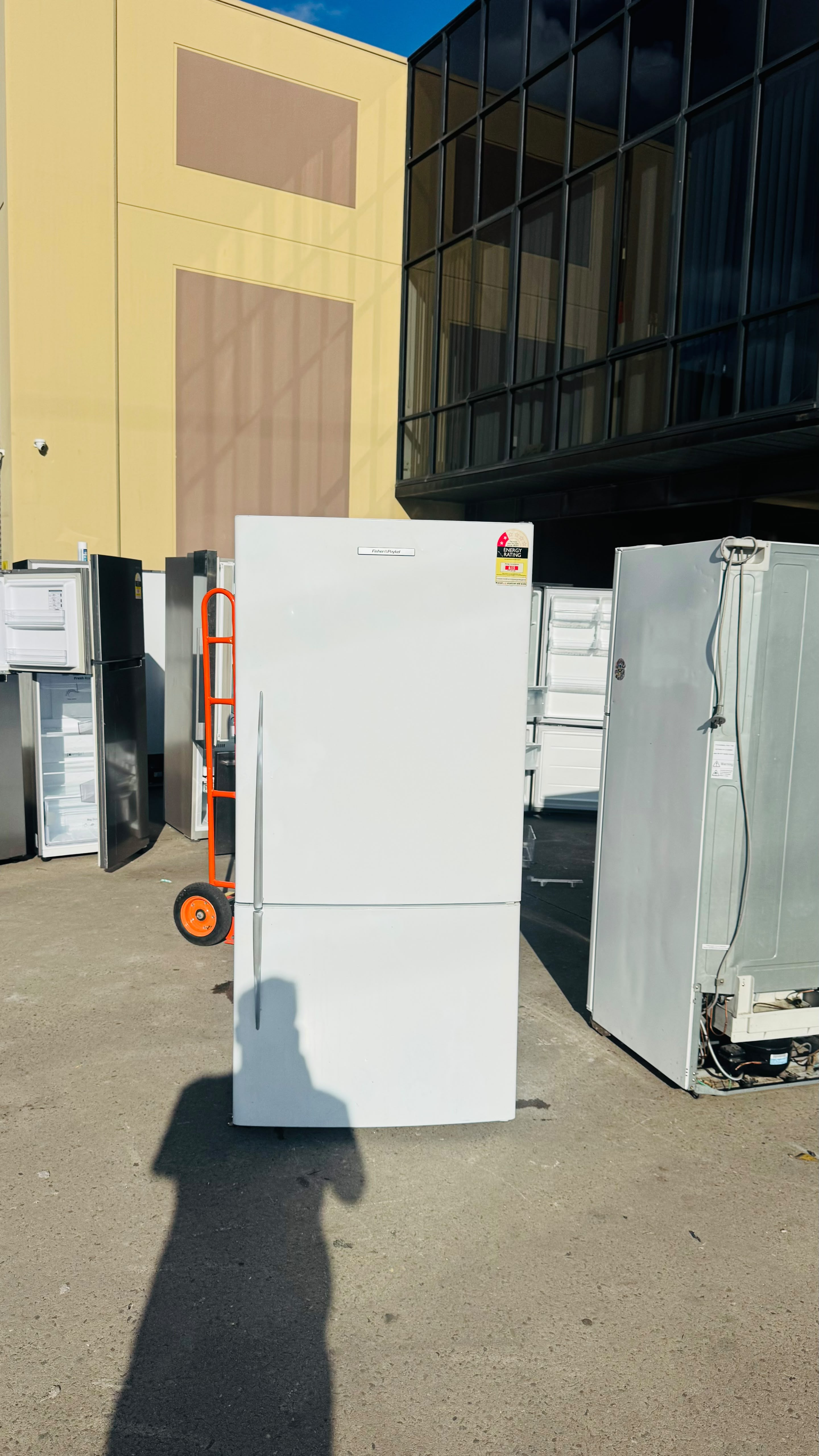 FISHER AND PAYKEL 519 LITRES FRIDGE FREEZER