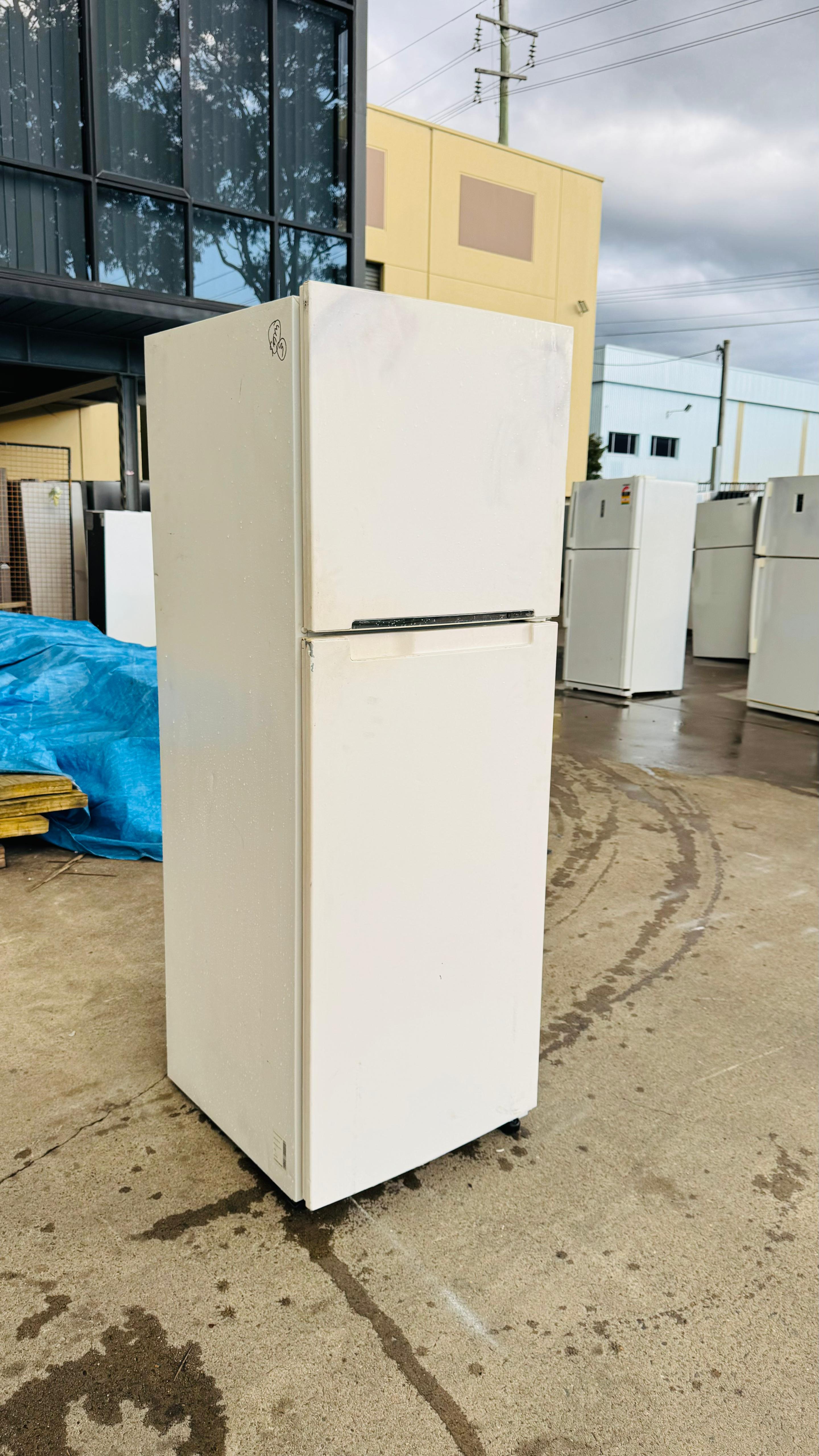 SAMSUNG 341 LITRES FRIDGE FREEZER