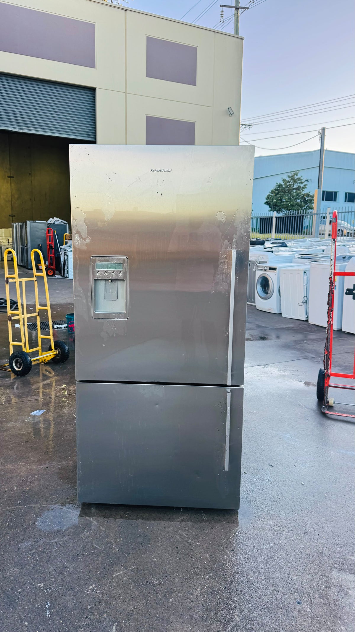 FISHER AND PAYKEL 519 LITRES FRIDGE FREEZER