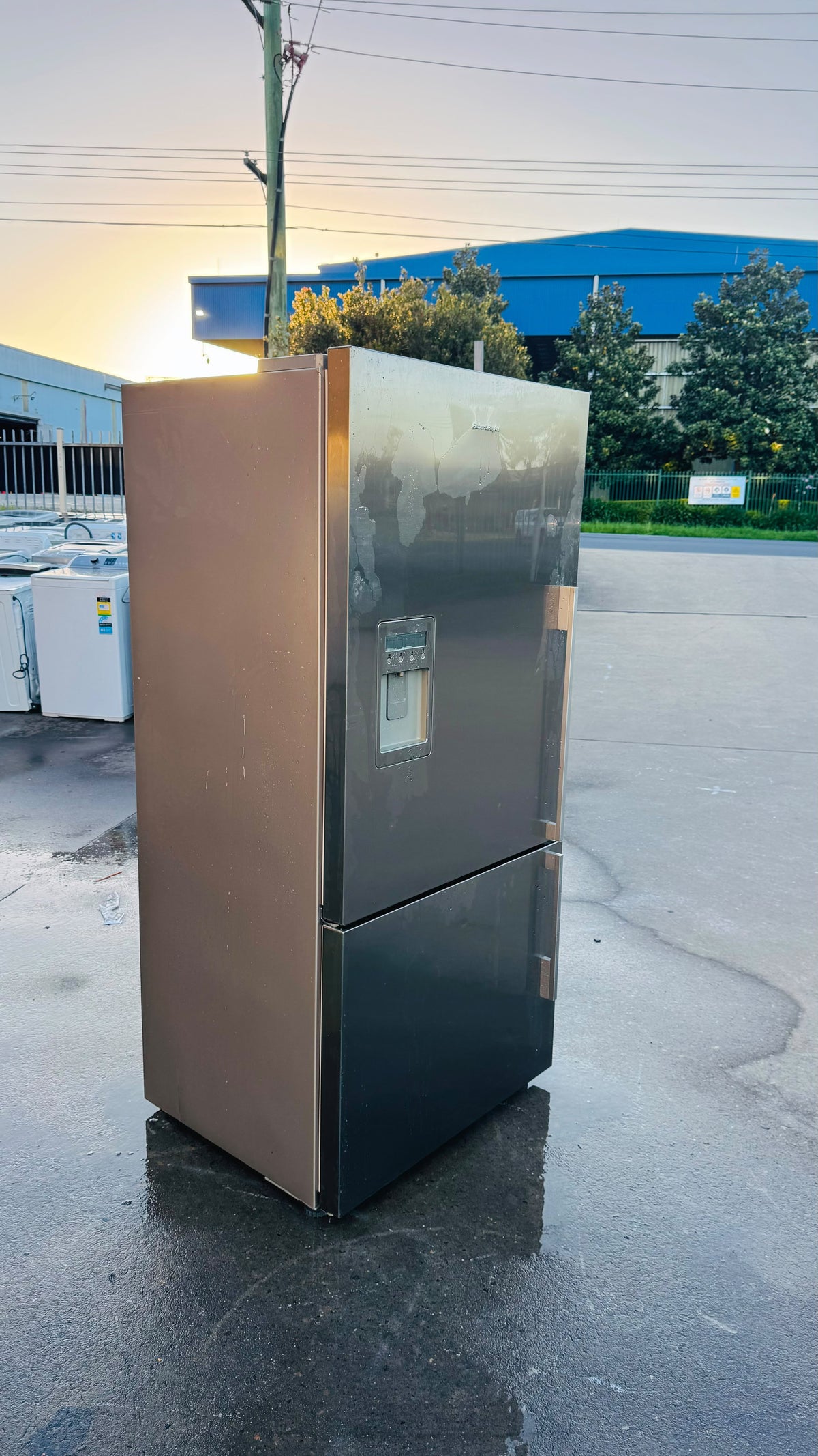 FISHER AND PAYKEL 519 LITRES FRIDGE FREEZER