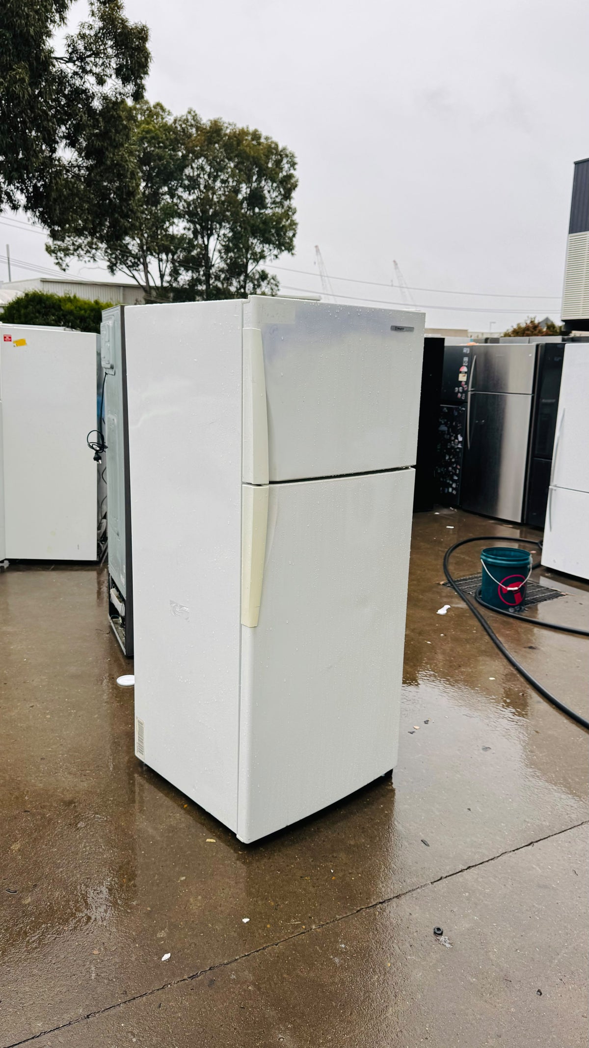 WESTINGHOUSE 420 LITRES FRIDGE FREEZER