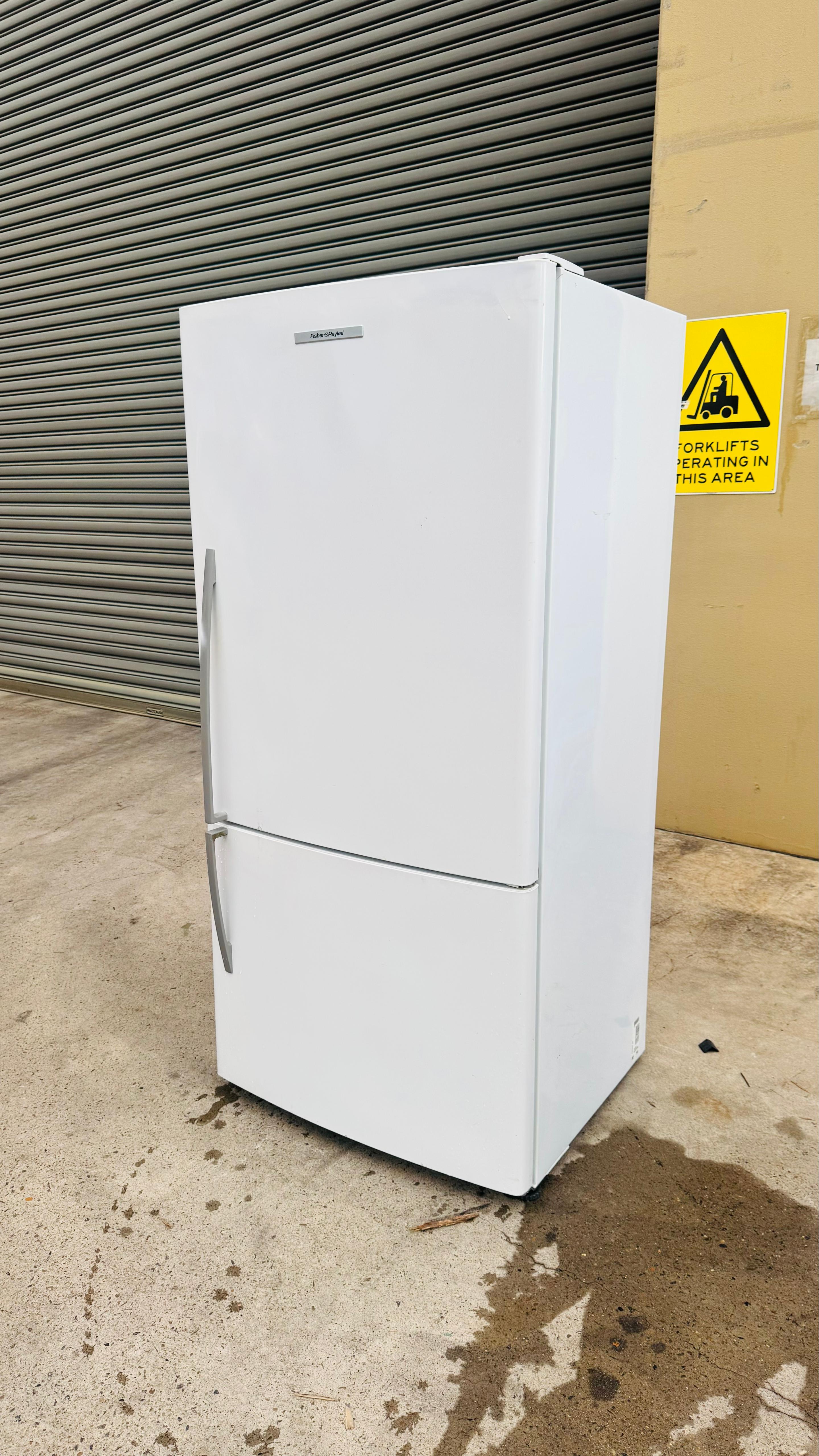FISHER AND PAYKEL 519 LITRES FRIDGE FREEZER