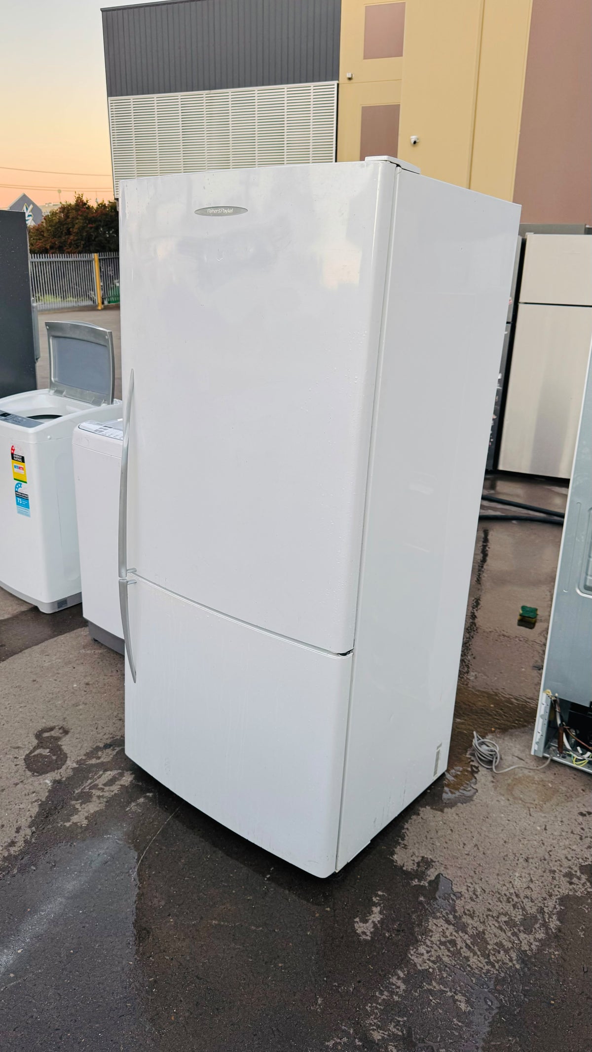 FISHER AND PAYKEL 519 LITRES FRIDGE FREEZER