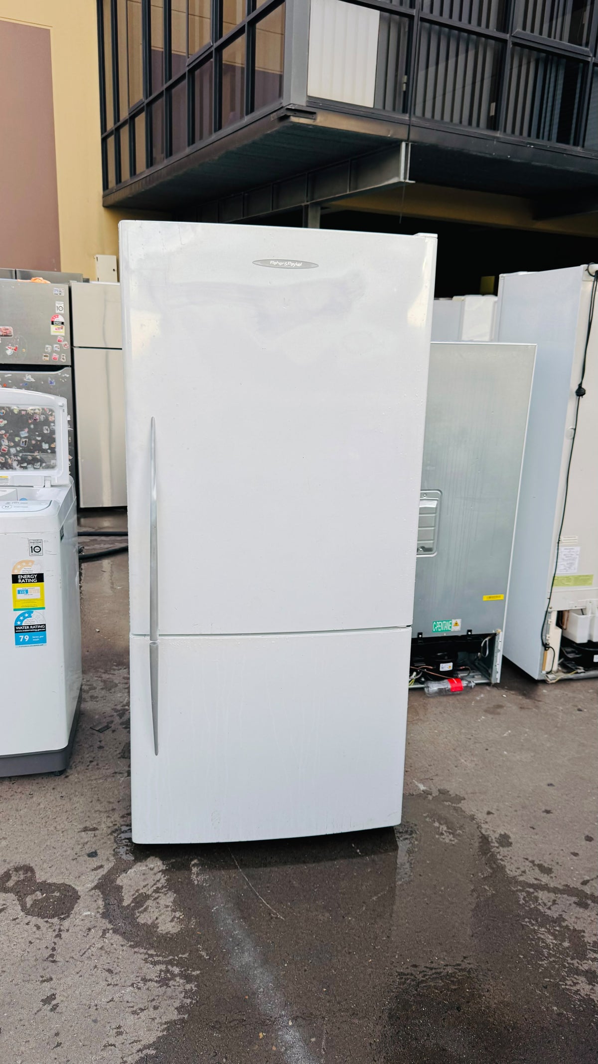 FISHER AND PAYKEL 519 LITRES FRIDGE FREEZER