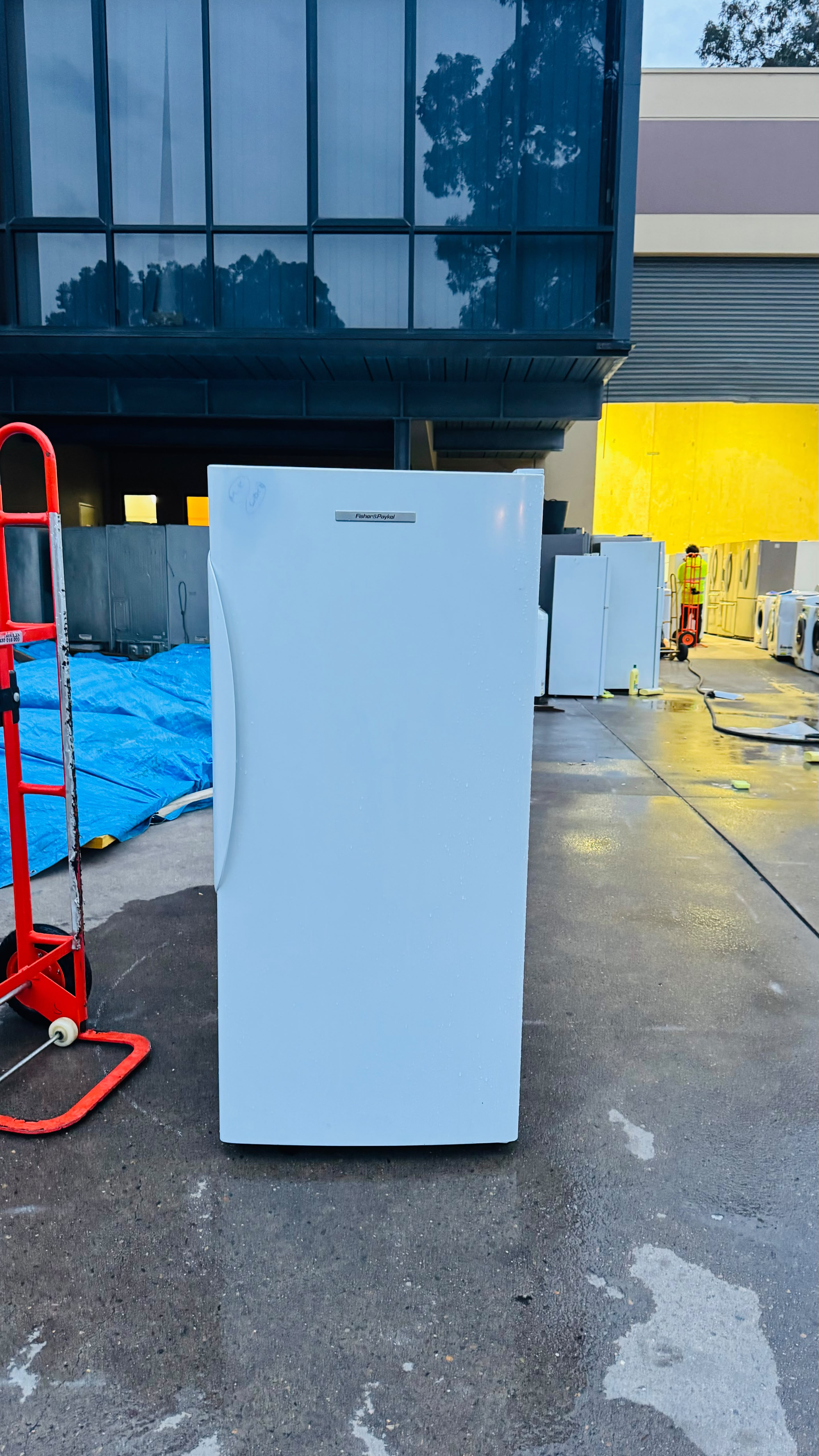 FISHER AND PAYKEL 304 LITRES FREEZER ONLY