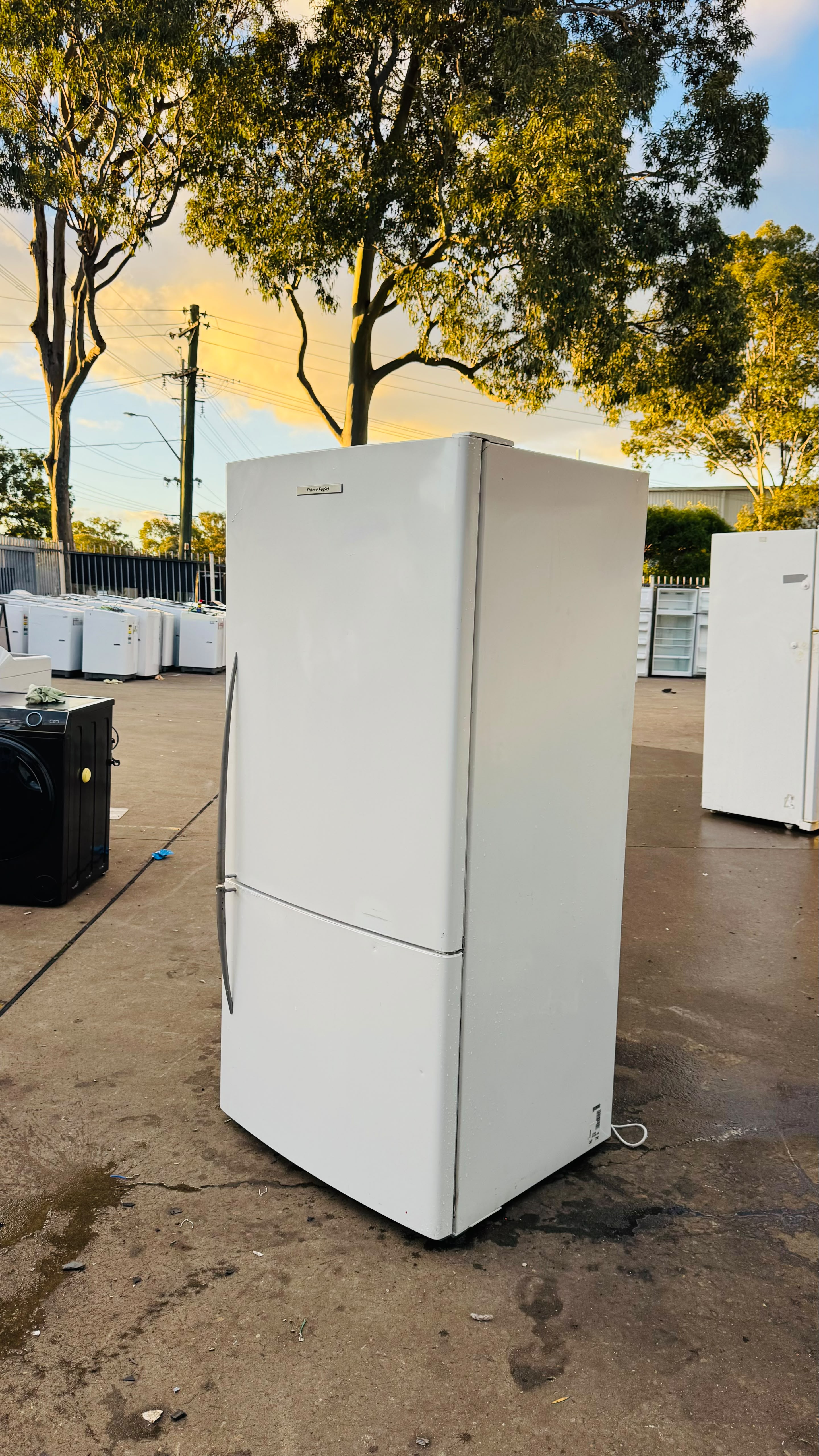 FISHER AND PAYKEL 519 LITRES FRIDGE FREEZER