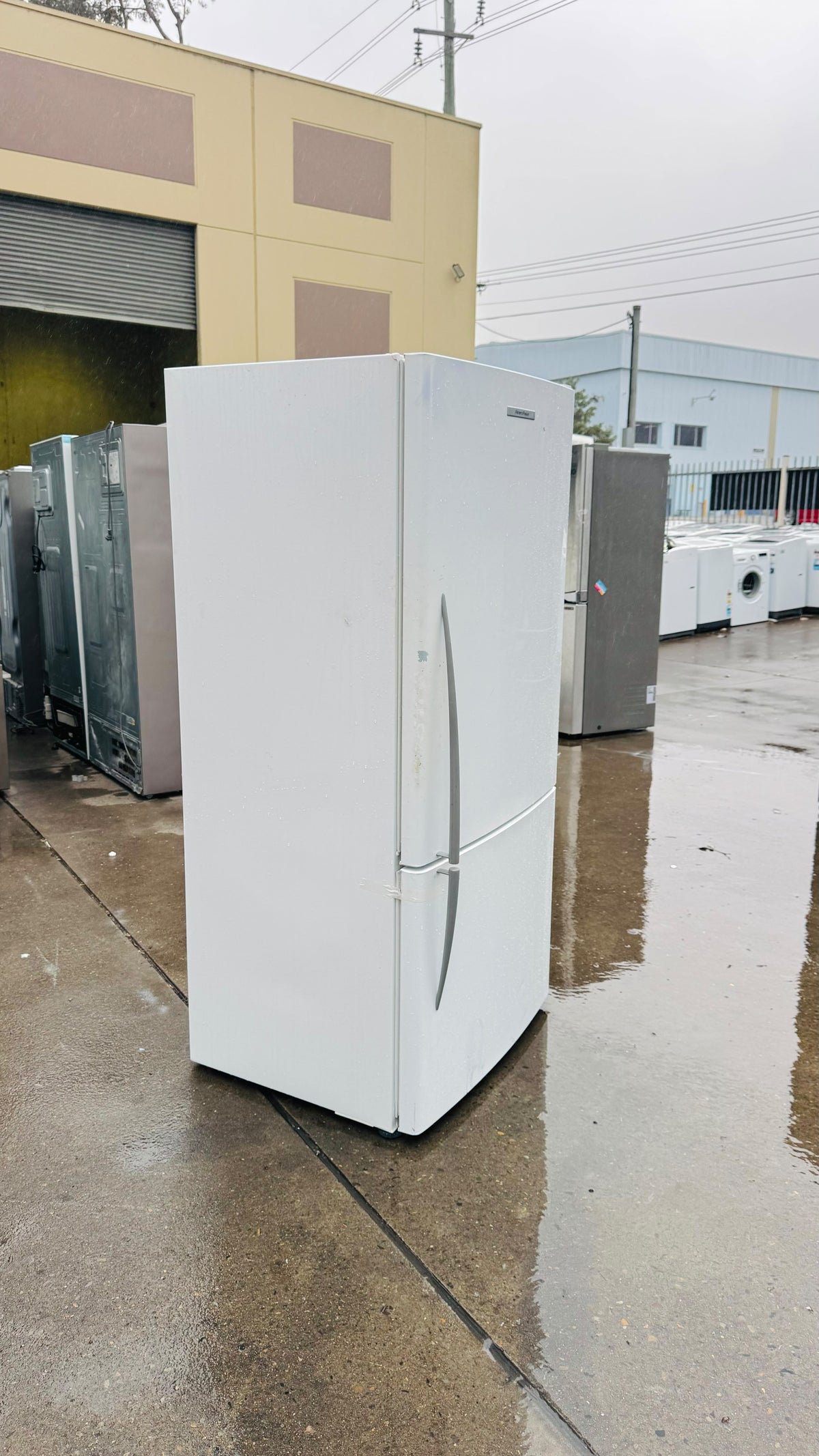 FISHER AND PAYKEL 519 LITRES FRIDGE FREEZER