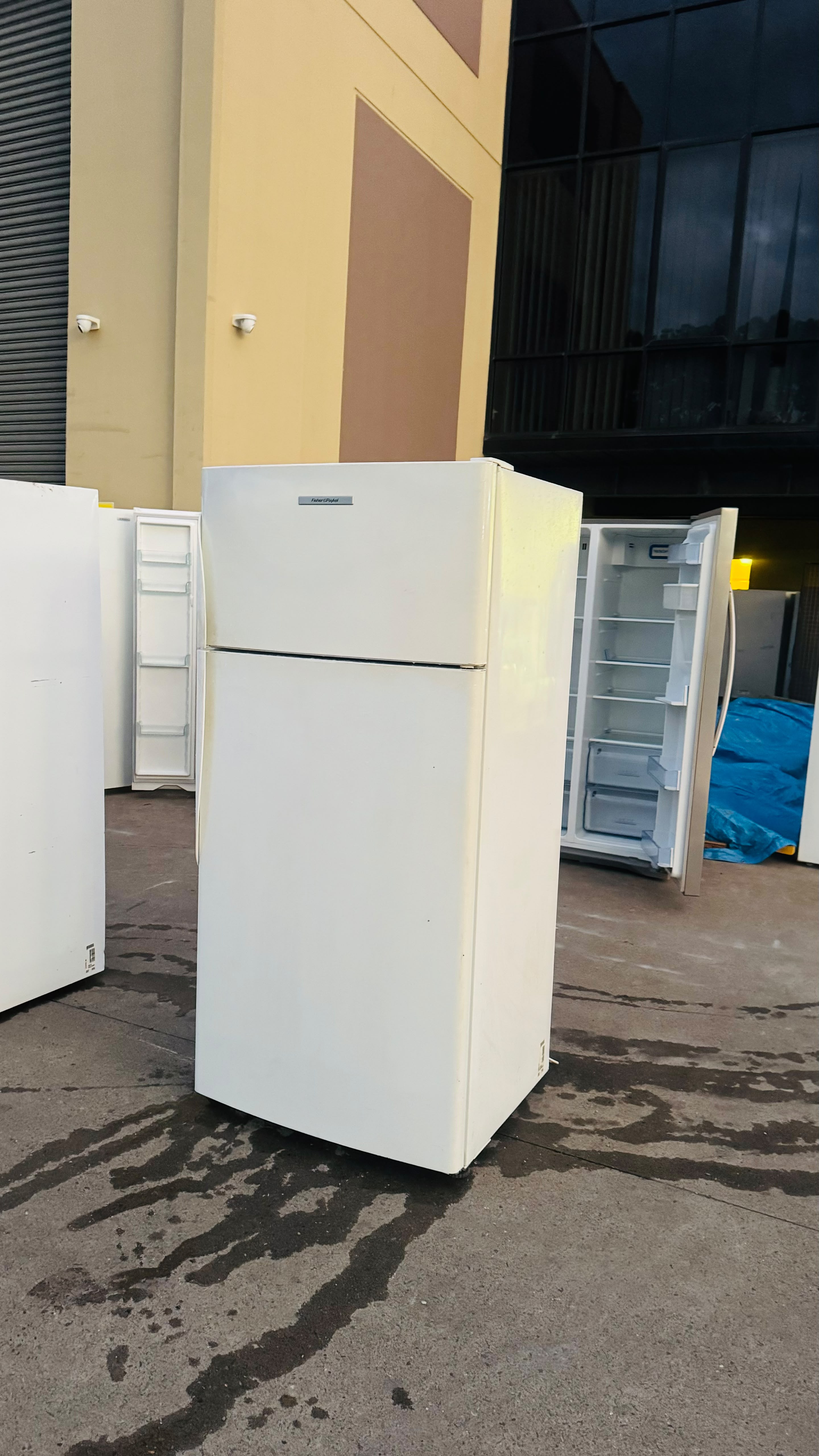 FISHER AND PAYKEL 519 LITRES FRIDGE FREEZER