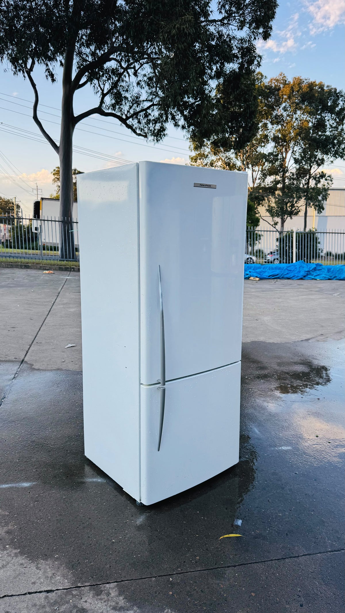 FISHER AND PAYKEL 442 LITRES FRIDGE FREEZER